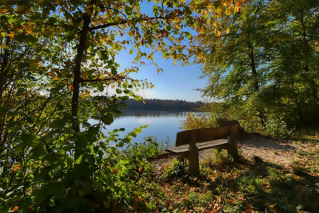 巴黎的这支 巴黎的这支
