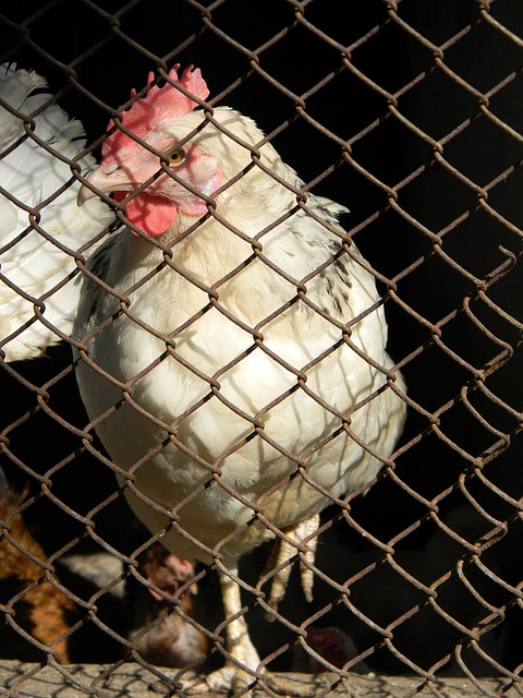 就能提前 就能提前