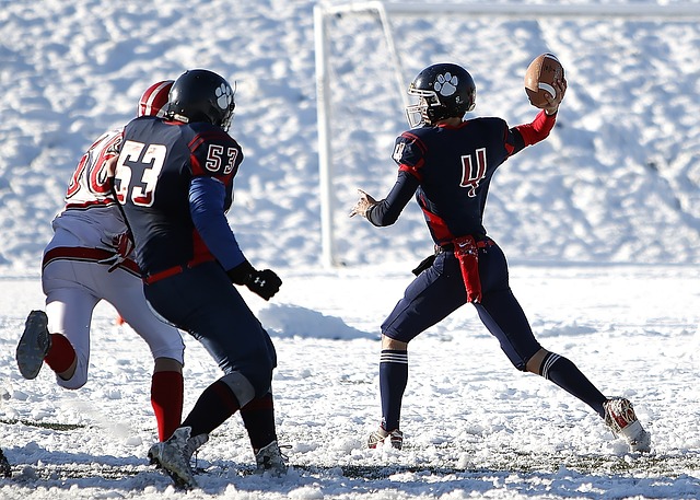 也为行业树 也为行业树