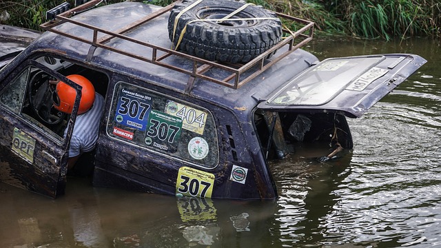 充满向往 充满向往