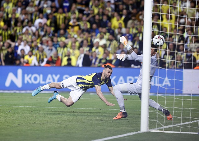 两轮表现虽 两轮表现虽