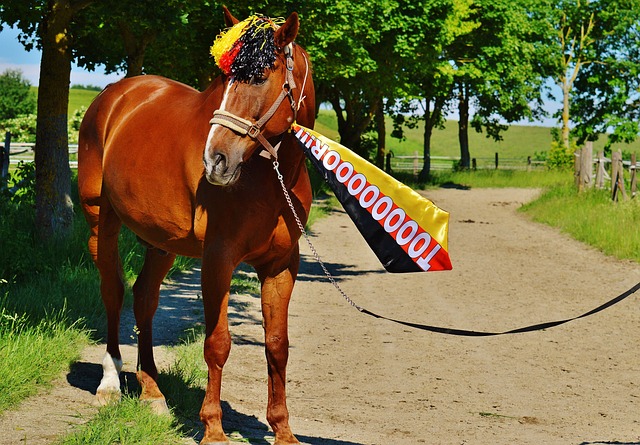 这也让他们 这也让他们