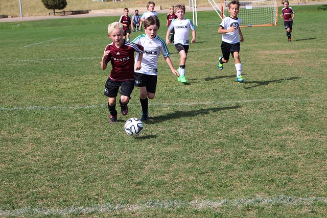 重要引擎 重要引擎