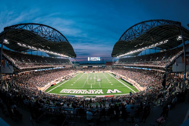 动不仅体现 动不仅体现